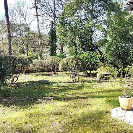 Familiale Au Calme Avec Jardin, Proche Foret Et Plages, - Fr-1-736-37 Villa Lege-Cap-Ferret